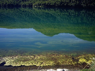 Pucon - Junin (1)