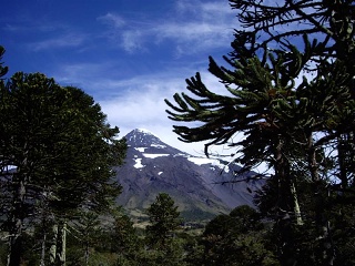 Pucon - Junin Vulkaan Lanin (2)