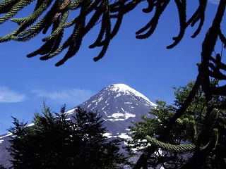 Pucon - Junin Vulkaan Lanin (3)
