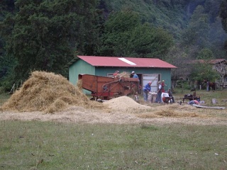 Rio Bueno - Pucon - Graan Dorsen