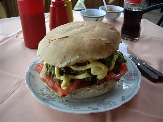 Rio Bueno - Pucon - Mega Hamburger